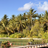 фото из отзыва ID 2707778