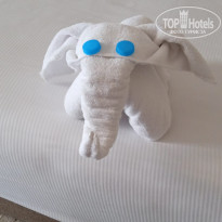 фото из отзыва ID 2707802