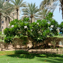фото из отзыва ID 2707840