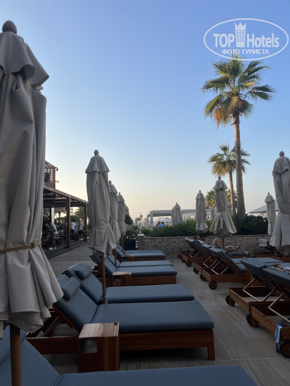 Hotel photo Sonder at JBR The Walk 