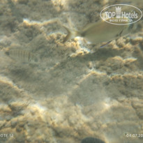 фото из отзыва ID 2707857