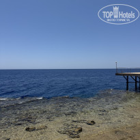 фото из отзыва ID 2707883