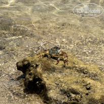 фото из отзыва ID 2707883