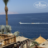 фото из отзыва ID 2707883