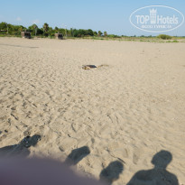 фото из отзыва ID 2707945