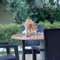 фото из отзыва ID 2707962