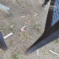 фото из отзыва ID 2707962