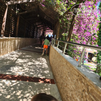 фото из отзыва ID 2707977