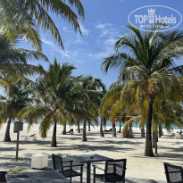 фото из отзыва ID 2708009