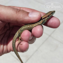 фото из отзыва ID 2708035