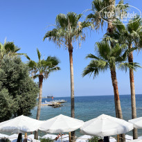 фото из отзыва ID 2708051