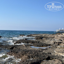 фото из отзыва ID 2708051