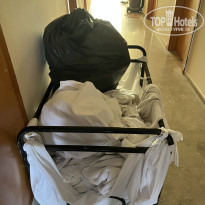 фото из отзыва ID 2708006