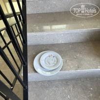 фото из отзыва ID 2708006