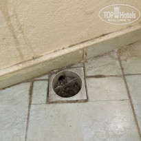 фото из отзыва ID 2708006