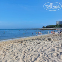 фото из отзыва ID 2708070