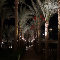 фото из отзыва ID 2708095