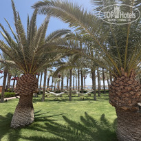 фото из отзыва ID 2708095