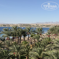 фото из отзыва ID 2708095