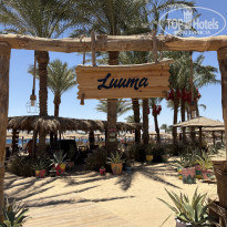 фото из отзыва ID 2708095