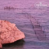 фото из отзыва ID 2708108