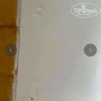 фото из отзыва ID 2708177