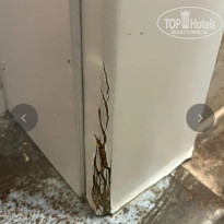 фото из отзыва ID 2708177