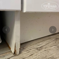 фото из отзыва ID 2708177