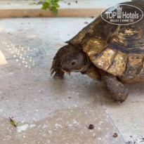 фото из отзыва ID 2708184