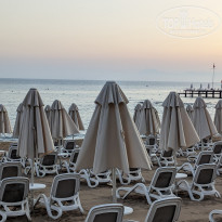 фото из отзыва ID 2708190