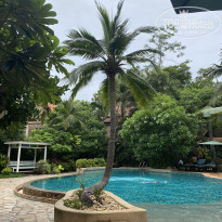 фото из отзыва ID 2708195