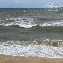 фото из отзыва ID 2708195