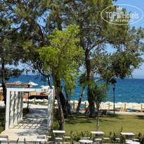 фото из отзыва ID 2708196