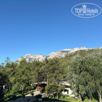 фото из отзыва ID 2708196