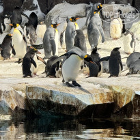 фото из отзыва ID 2708216