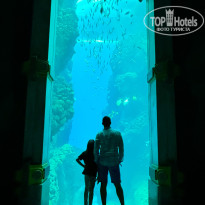 фото из отзыва ID 2708216