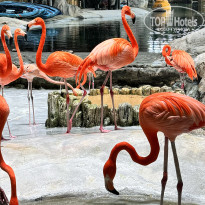 фото из отзыва ID 2708216