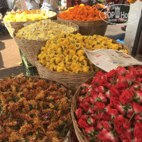 фото из отзыва ID 2708227