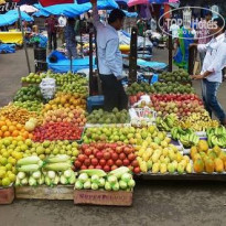 фото из отзыва ID 2708227