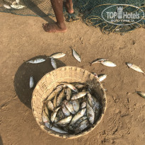 фото из отзыва ID 2708227