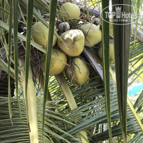 фото из отзыва ID 2708227