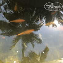 фото из отзыва ID 2708227