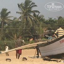 фото из отзыва ID 2708227