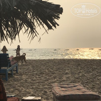 фото из отзыва ID 2708227