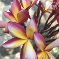 фото из отзыва ID 2708227