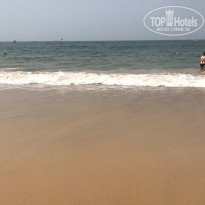 фото из отзыва ID 2708227