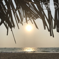 фото из отзыва ID 2708227