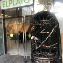 фото из отзыва ID 2708249