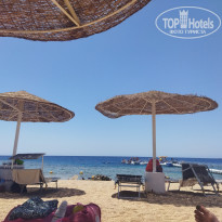 фото из отзыва ID 2708255