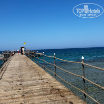 фото из отзыва ID 2708277